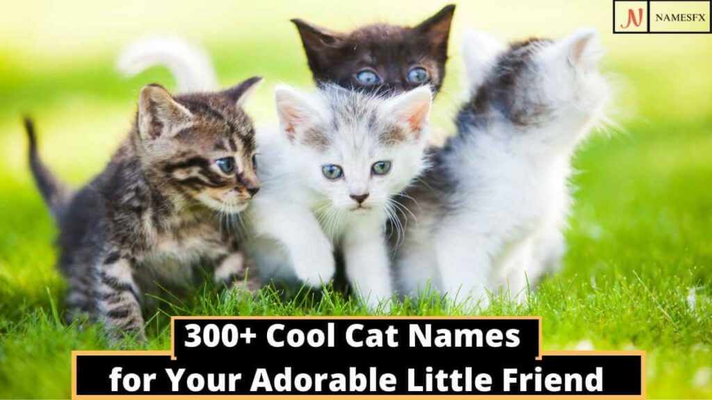Cool Cat Names,