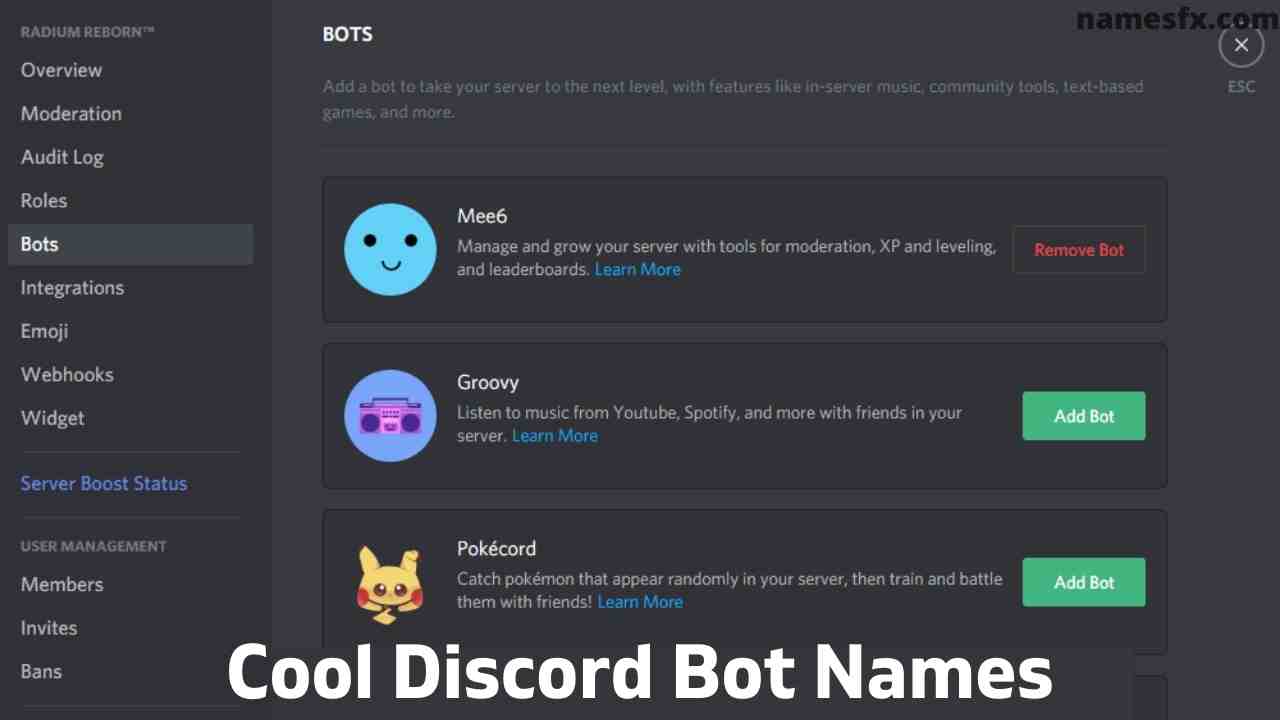 Cool Anime Boy Names For Discord - Ideas of Europedias