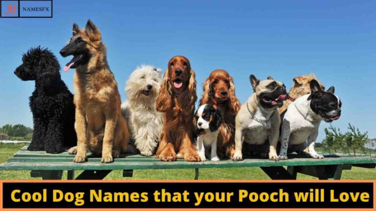 Cool Dog Names, Cool names for dogs