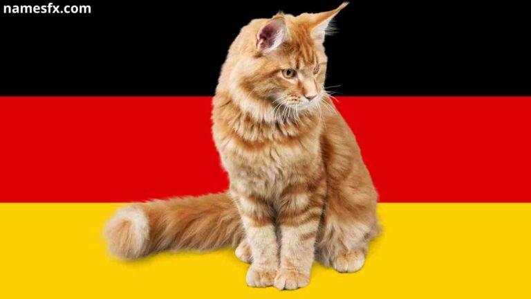 German Cat Names