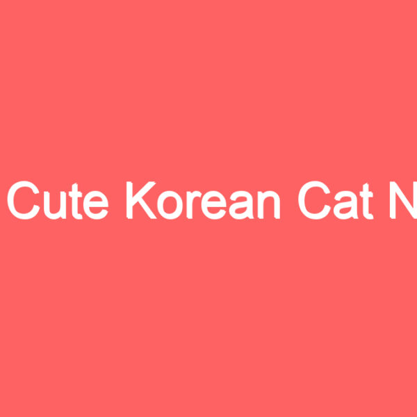 138+ Cute Korean Cat Names