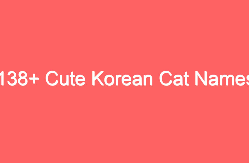 138+ Cute Korean Cat Names