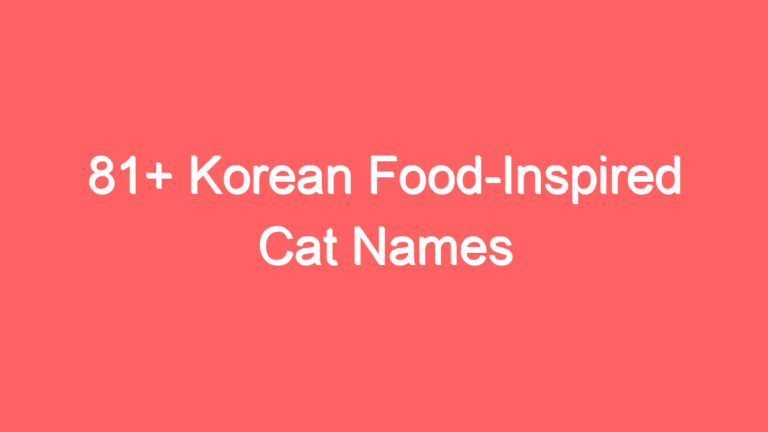 81+ Korean Food-Inspired Cat Names
