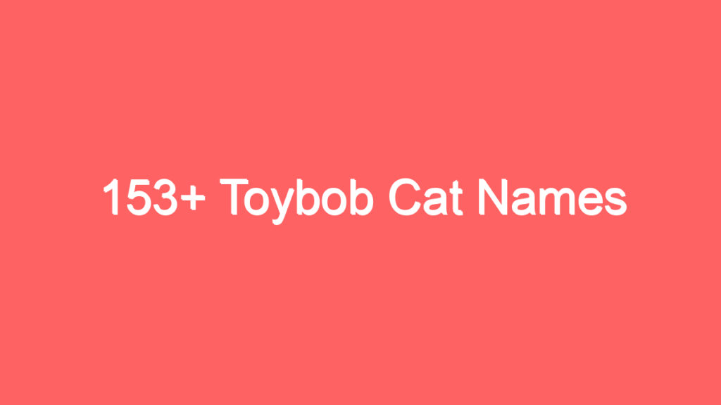153 toybob cat names 3937
