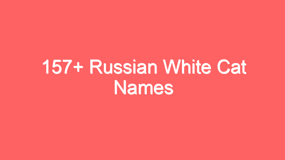 157 russian white cat names 3919
