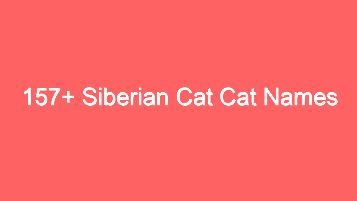 157 siberian cat cat names 3927