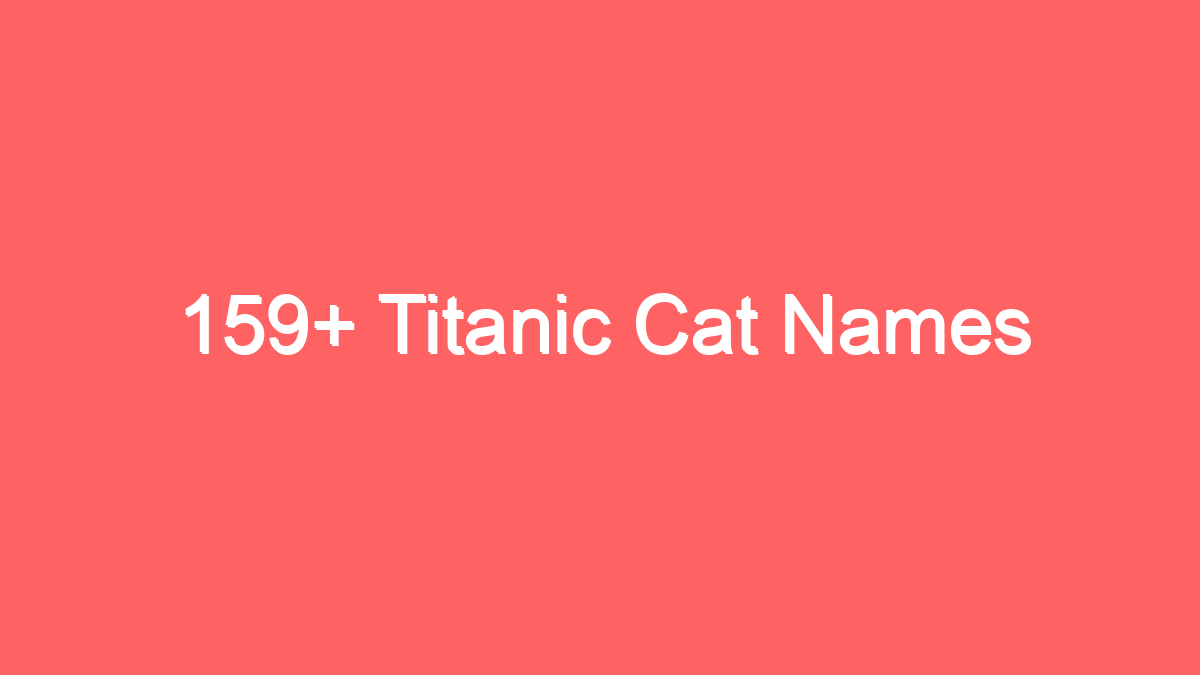 159 titanic cat names 3953