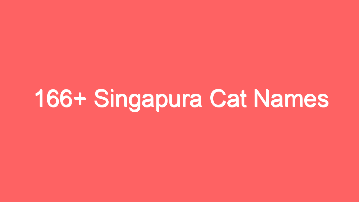 166 singapura cat names 3928