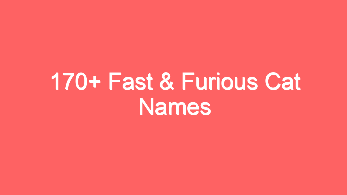 170 fast furious cat names 3948