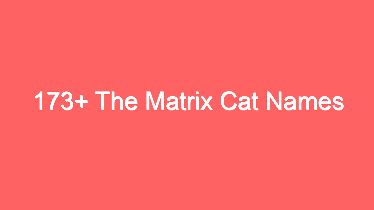 173 the matrix cat names 3952