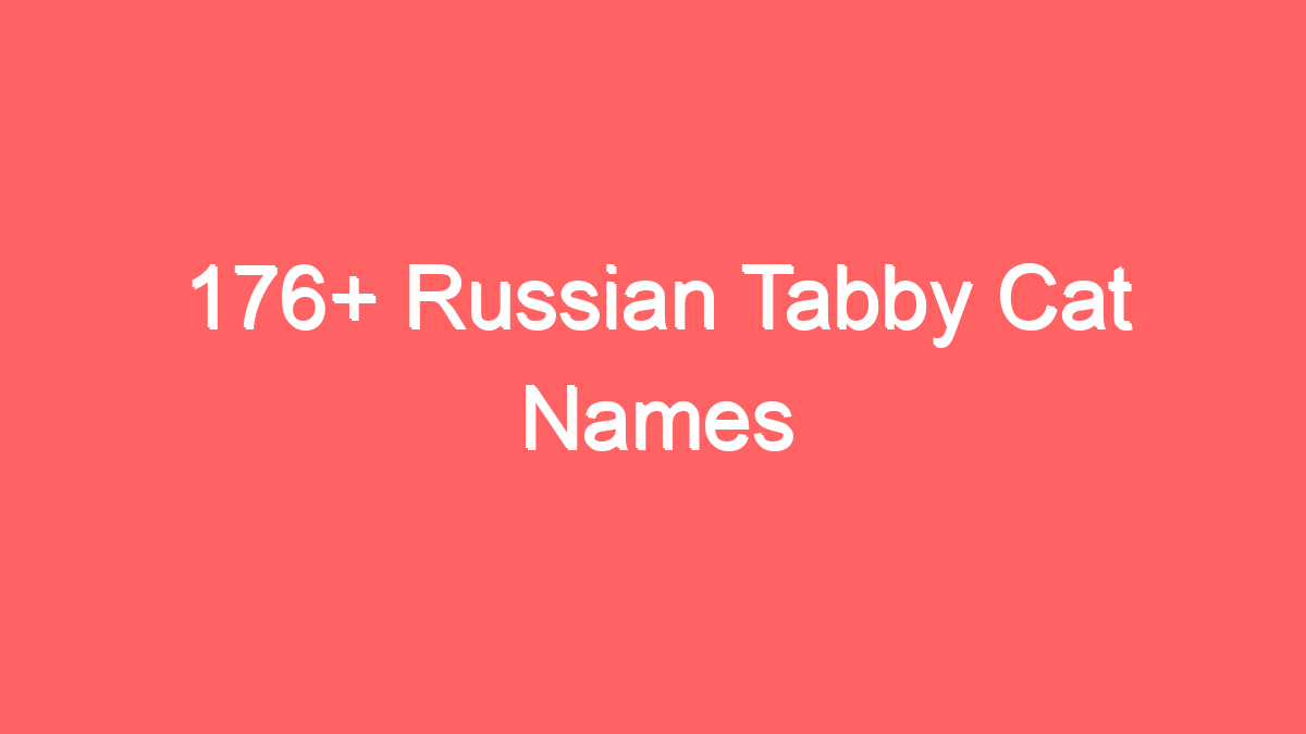 176 russian tabby cat names 3945