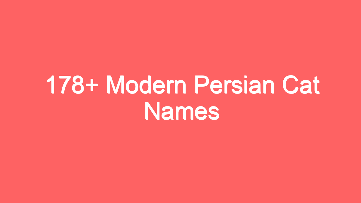 178 modern persian cat names 3746