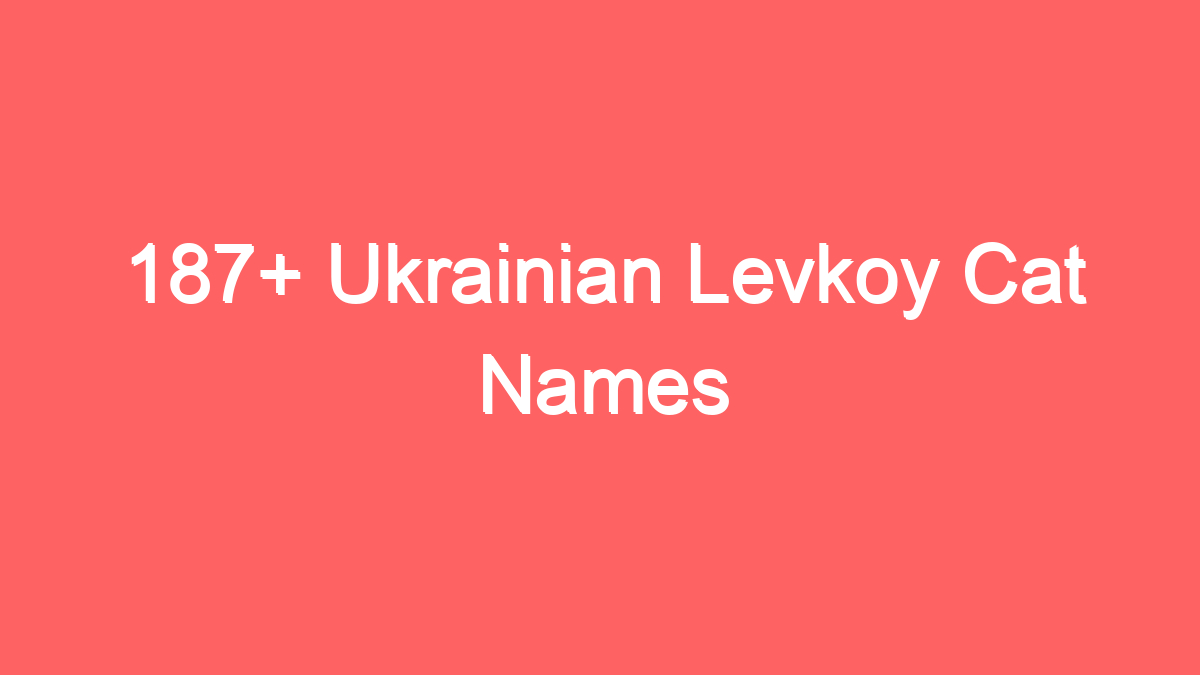 187 ukrainian levkoy cat names 3942