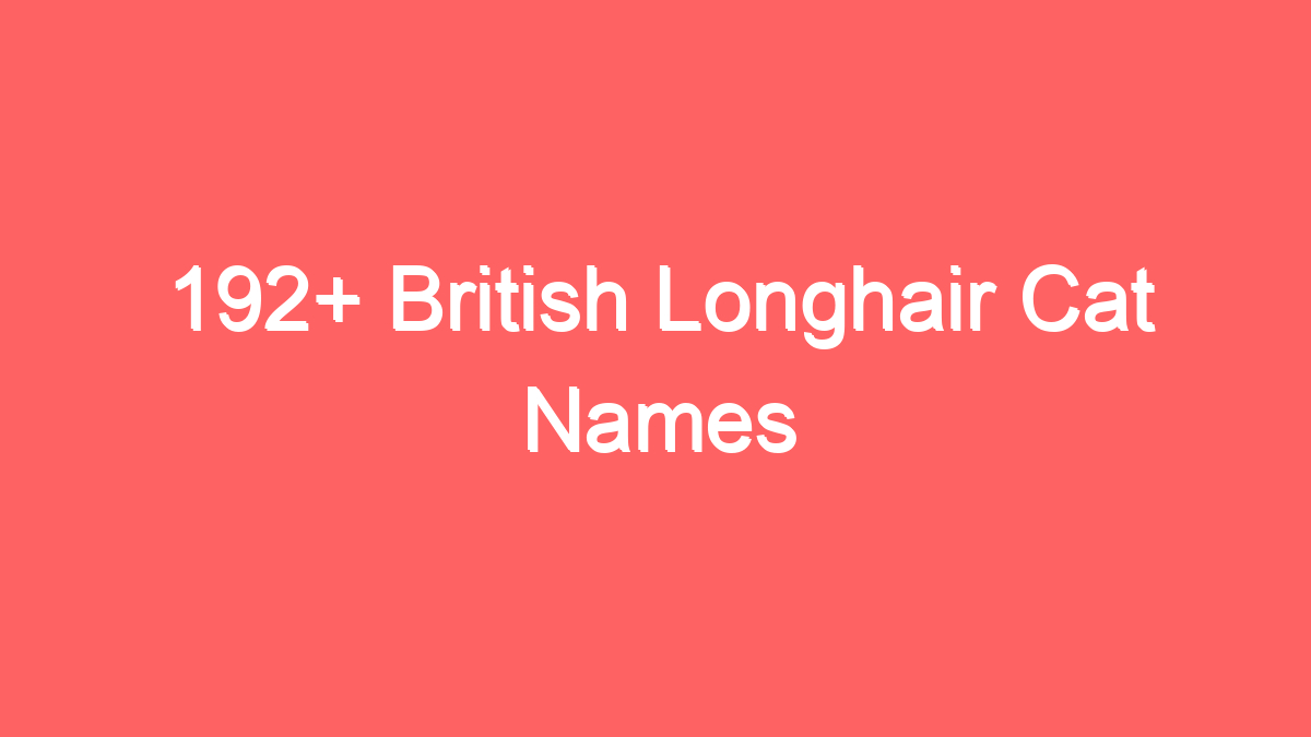 192 british longhair cat names 3691