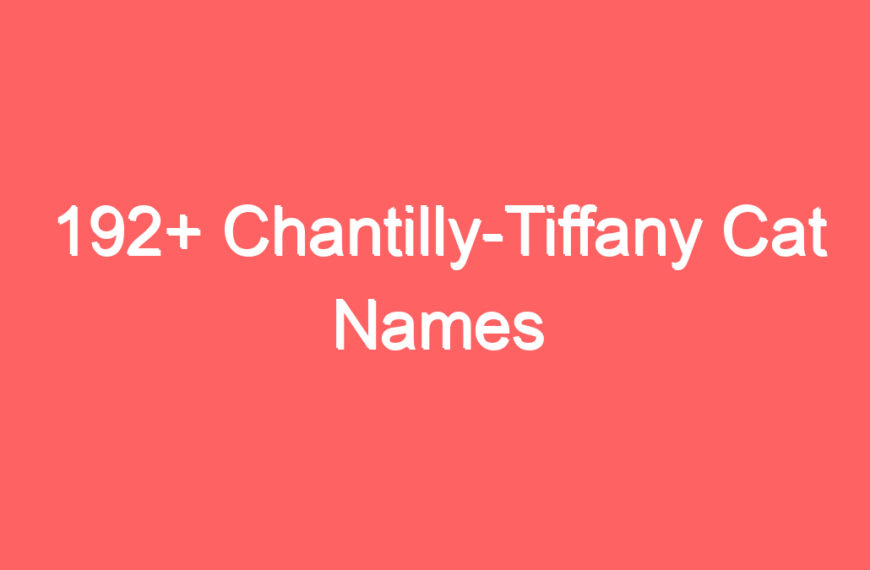 192+ Chantilly-Tiffany Cat Names