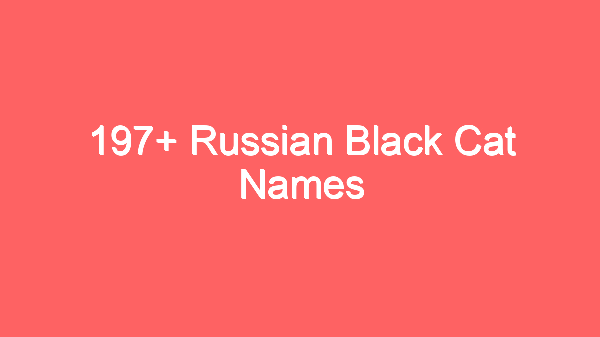 197 russian black cat names 3944