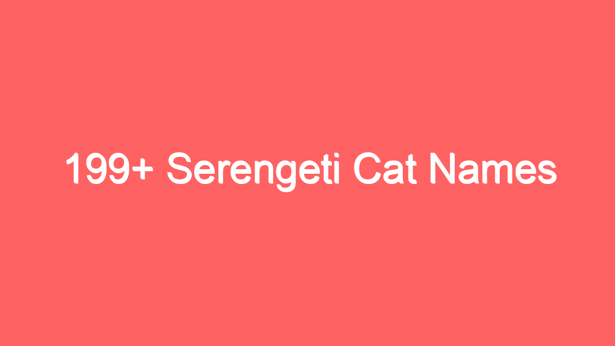 199 serengeti cat names 3924
