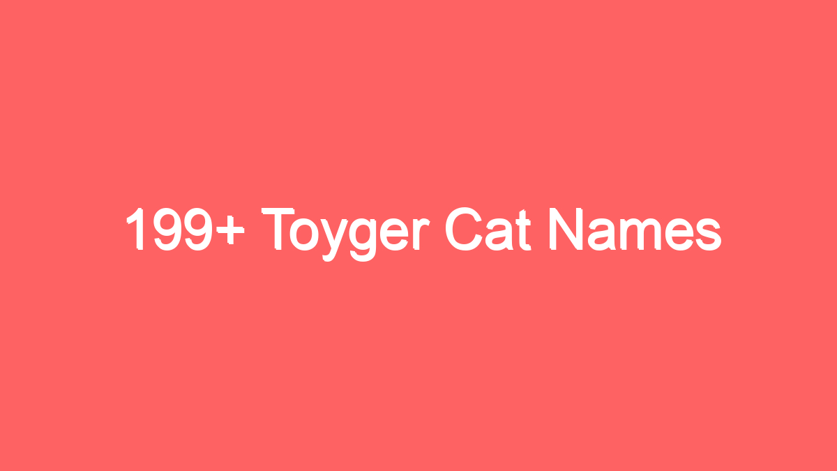 199 toyger cat names 3938